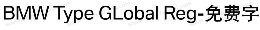 BMW Type GLobal Reg字体转换